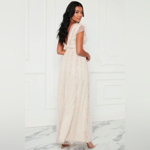 Fashion Nova - Charlotte Glitter Tulle Maxi Dress - Blush - Picture 4 of 11